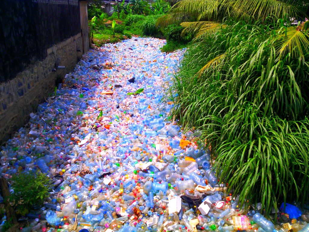 Clean Walk : la sensibilisation au problème des déchets plastiques.