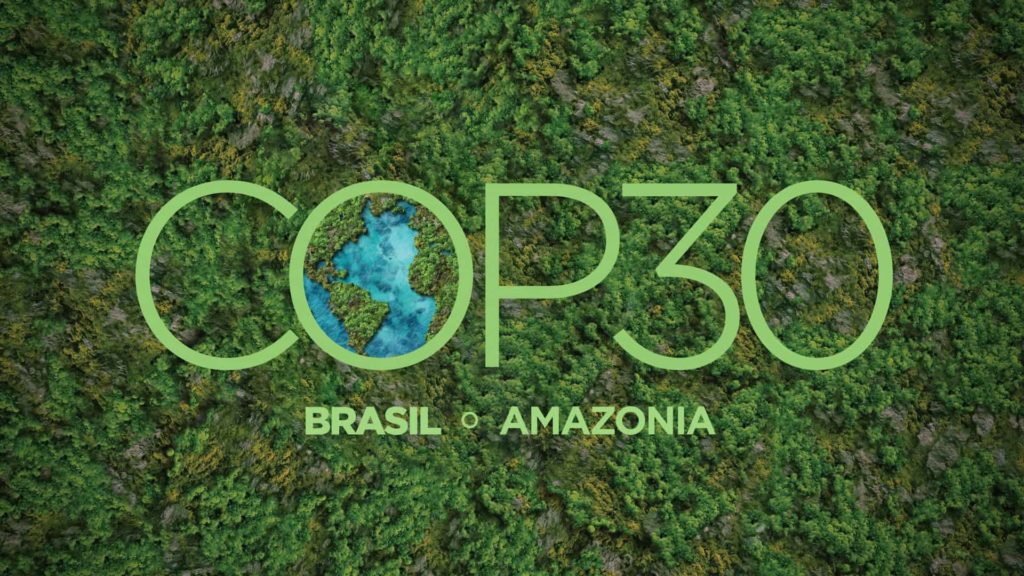 COP 30